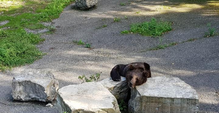 Wild- Und Freizeitpark